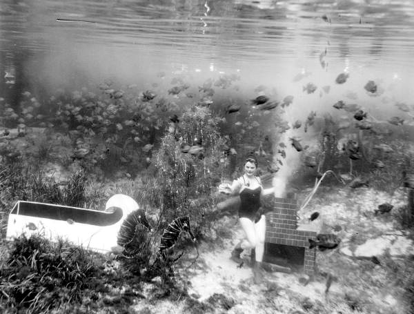 Underwater Christmas at Rainbow Springs - Rainbow Springs, Florida.