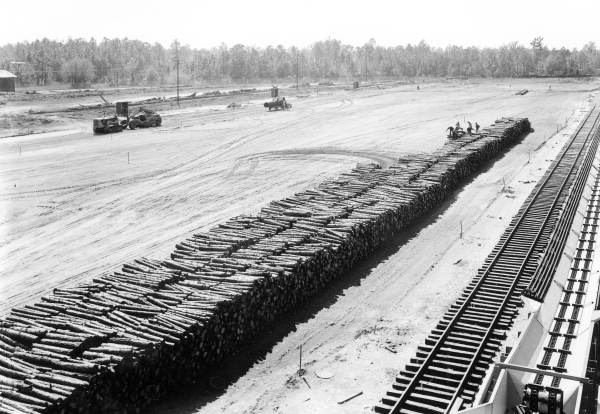 Logs at H.K. Ferguson Co. - Foley, Florida