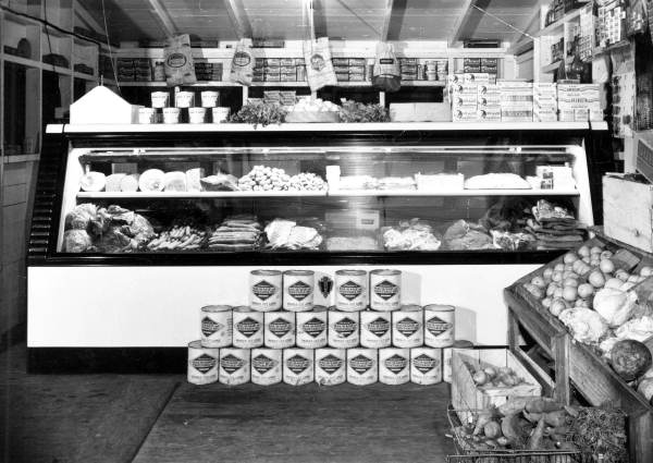 Shady Lunch's display