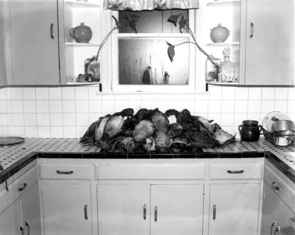 Ducks in Nick Fallier's kitchen