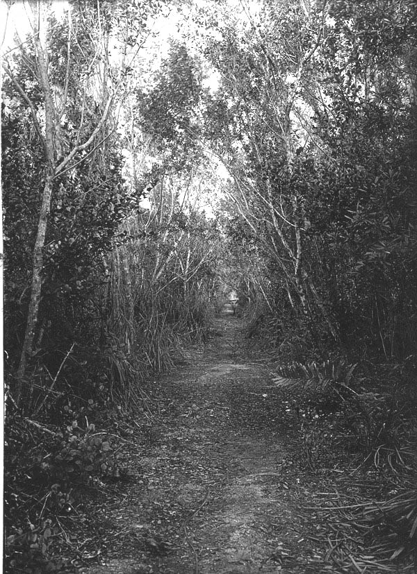 East line of Perrine grant