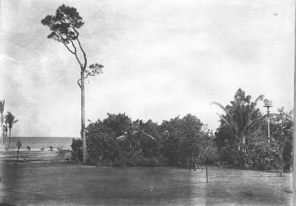 View from upper lawn, looking southeast