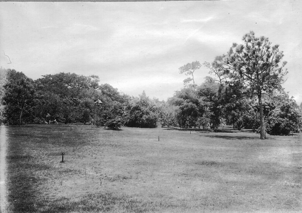 View from upper lawn, looking northeast
