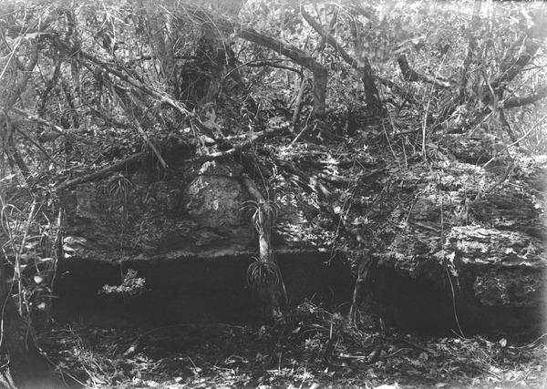 Eroded limestone