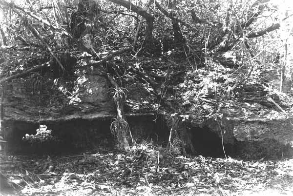 Eroded Limestone