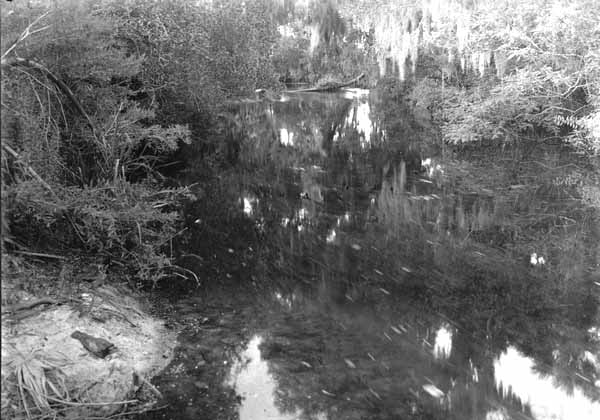 Stream