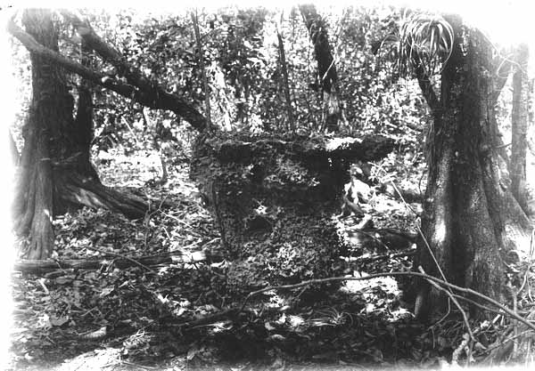 Eroded limestone