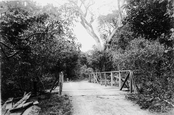 View to north at new bridge over stream