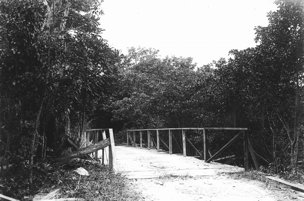 View to south at new bridge over stream