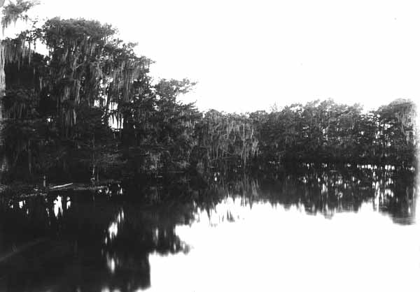 Fisheating Creek