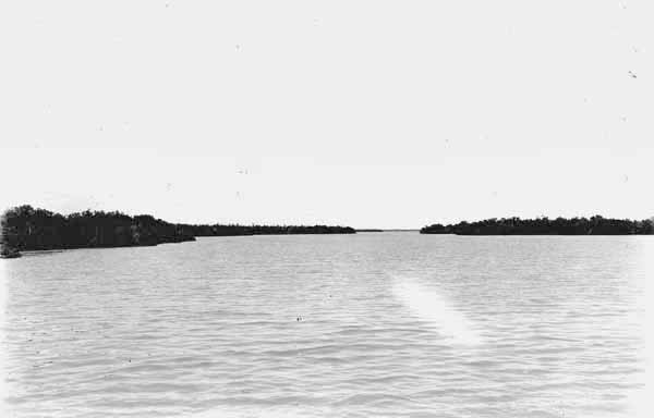Ten Thousand Islands