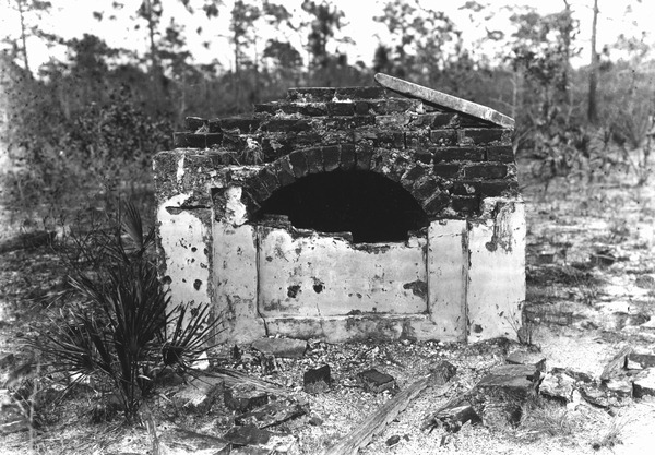 Tomb in pinelands