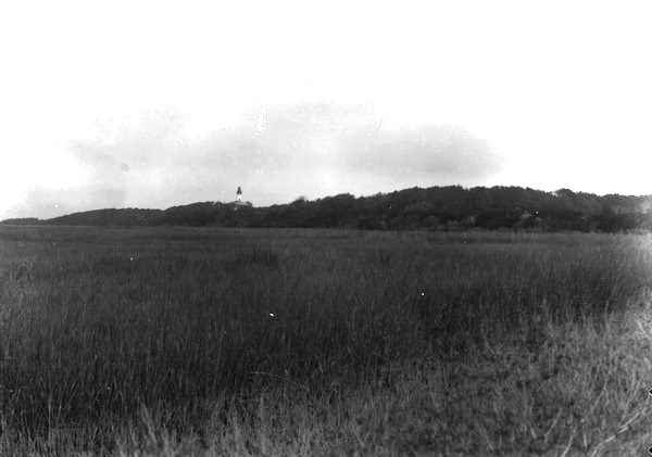 Amelia Island salt marsh