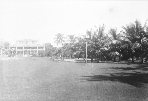 Looking west over lawn towards house