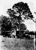 Cars used by John K. Small for specimen collecting