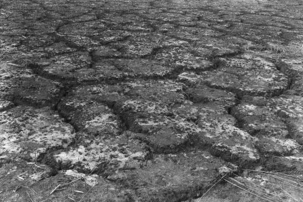Cracked earth