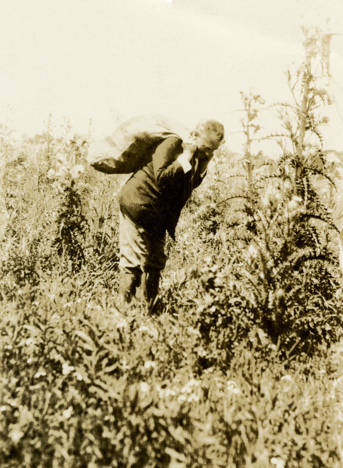 John Kunkel Small searching for specimens