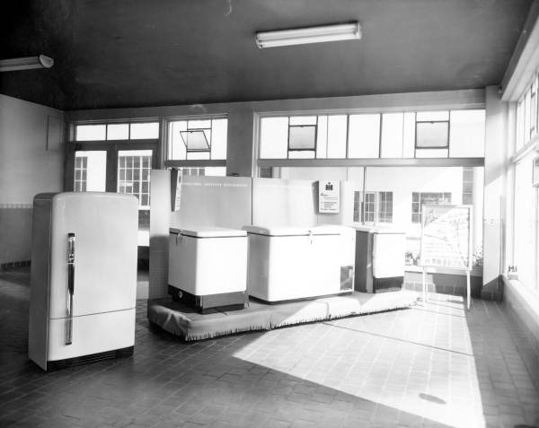 Display of refrigerators.