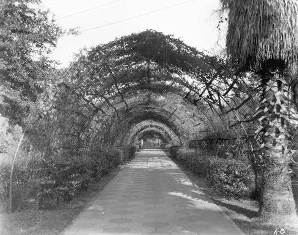 Rose arbor at Confederate Park - Jacksonville, Florida.