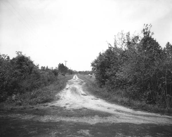Florida Memory • Rural road.