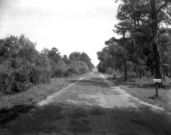 Florida Memory • Rural road.