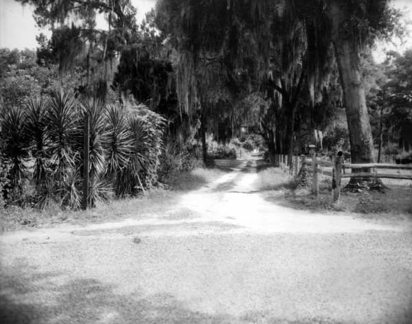 Florida Memory • Rural road.