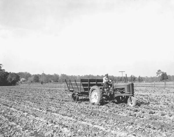 Man on a tractor in a farm field