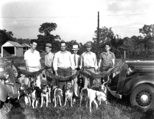 Hunters with dogs and three dead Bobcats.