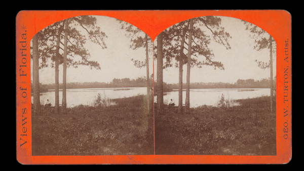 View of Lake DeFuniak