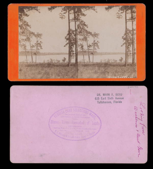 View of Lake Woodward - Eustis, Florida