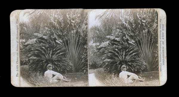 Man laying in front of plants