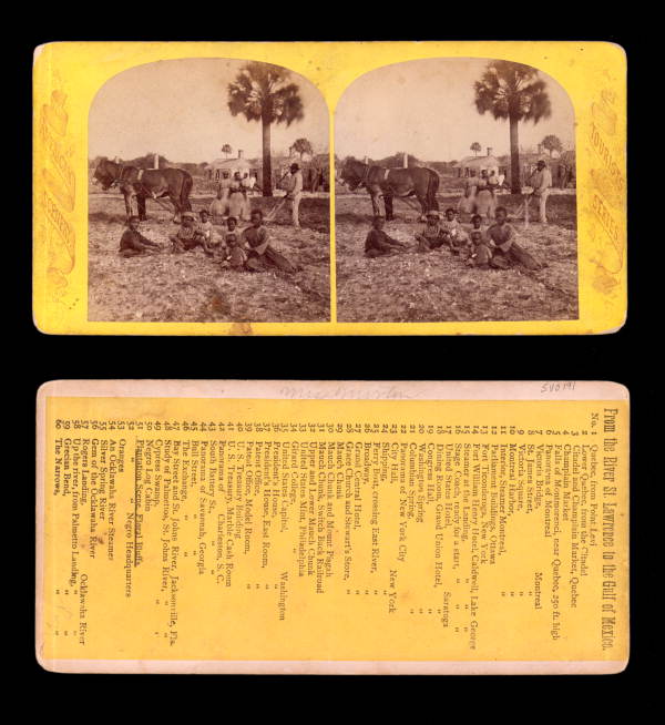 Plantation Scene, Floral Bluffs.