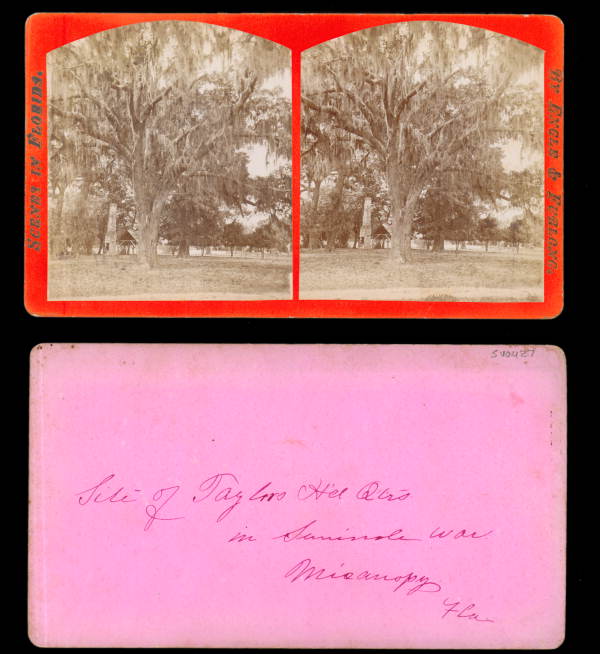Site of Taylor's headquarters in Seminole War - Micanopy, Florida