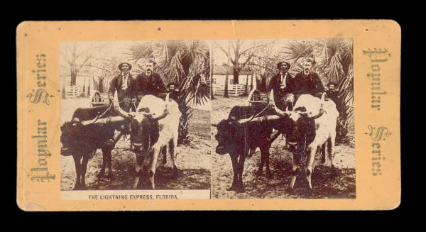 The Lightning Express, Florida.