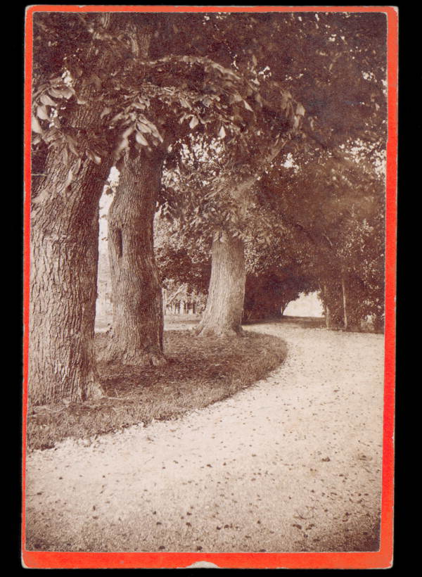 Mr. Ball's carriage road - Saint Augustine, Florida