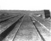 Boarded seed beds
