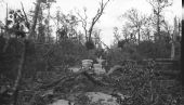 Damage in hardwood swamp caused by hurricane of Sept. 4, 1935.