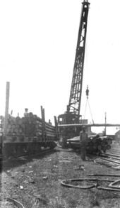 Loading creosoted utility poles onto railcars.