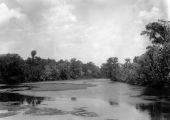 Suwannee River