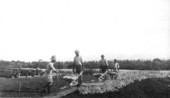 Directing the placement of the sandy clay
