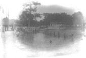View of the "Silver Springs" and people - Silver Springs, Florida