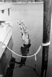 Sunken treasure being lifted by the "Treasure Princess" - Florida Keys, Florida