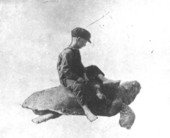 Thomas Brown on a Loggerhead? turtle