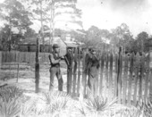 D.H. Brown stretching wire for fence around satsuma grove.