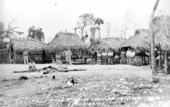 Chestnut Billy's Mikasuki Indian Camp on the Tamiami Trail