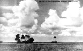 In the Everglades National Park