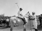 Players at the Gulfstream Polo Club in Delray Beach.