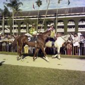 Jockey Angel Cordero with "Instant Profit" at the Hialeah Racetrack.