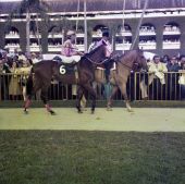 Jockey Craig Perret with "Brach's Hilarious" at the Hialeah Racetrack.