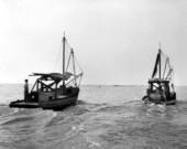 Apalachicola Fish and Oyster Company fishing boats heading out to work - Apalachicola, Florida.